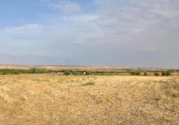 Terreno en camino Viejo de Madrid a Torrelaguna s/n