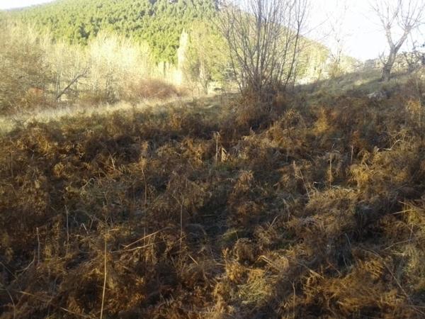 Terreno en M-610, km 9