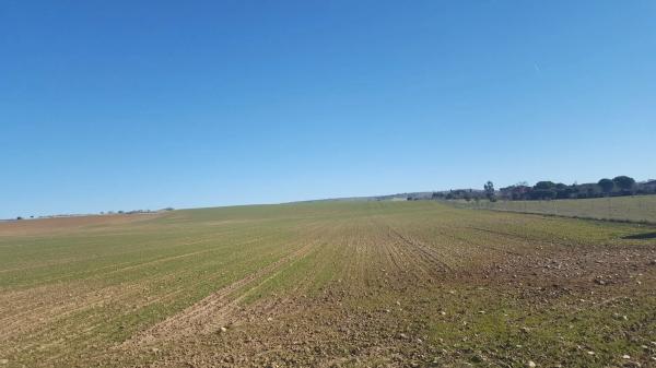 Terreno en m-117 s/n