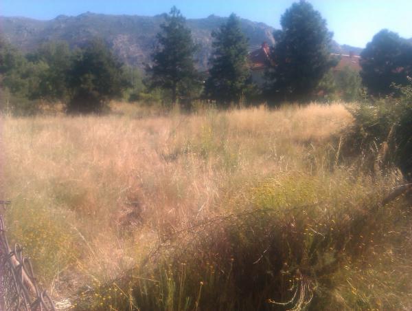 Terreno en avenida Maderuelo, 7