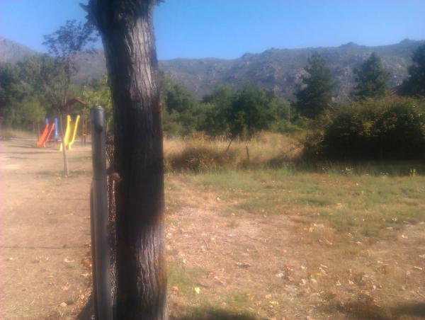 Terreno en avenida Maderuelo, 7