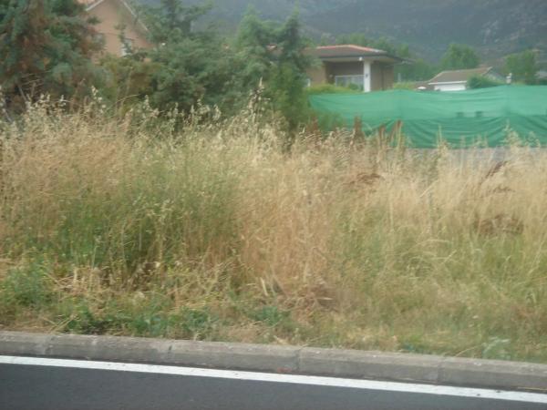 Terreno en avenida de la Ponderosa s/n