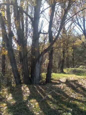 Terreno en de Entresierra, 315