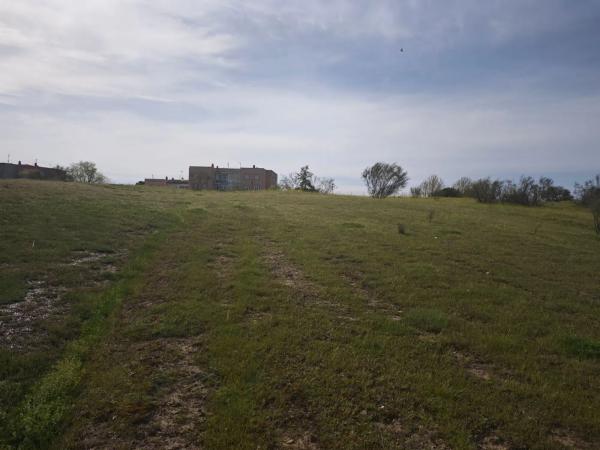 Terreno en calle los Galgos, 8