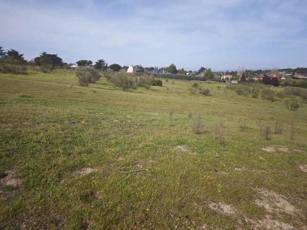 Terreno en calle los Galgos, 8