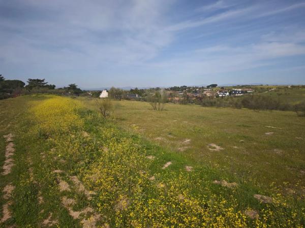Terreno en calle los Galgos, 8