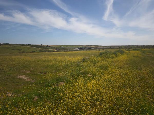 Terreno en calle los Galgos, 8