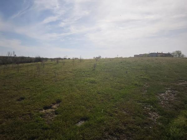 Terreno en calle los Galgos, 8