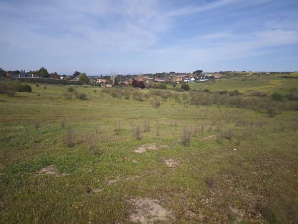 Terreno en calle los Galgos, 8