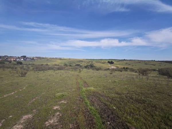 Terreno en calle los Galgos, 8