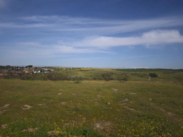 Terreno en calle los Galgos, 8