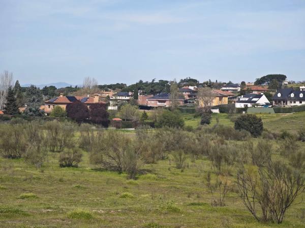 Terreno en calle los Galgos, 8
