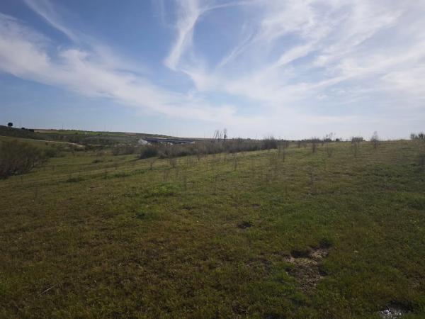 Terreno en calle los Galgos, 8