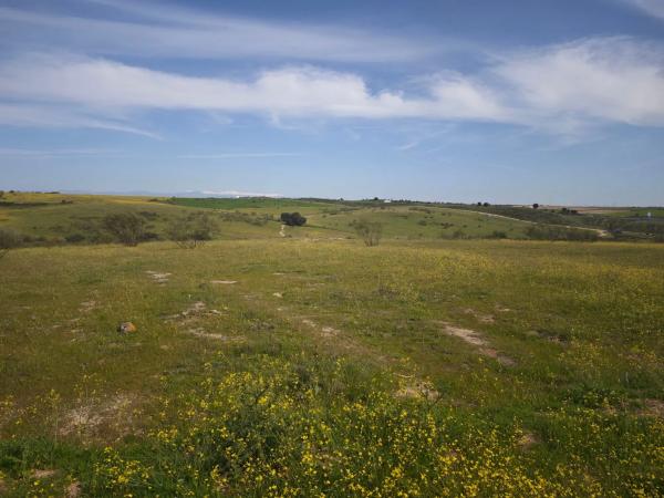 Terreno en calle los Galgos, 8