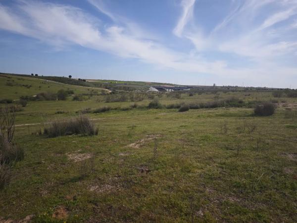 Terreno en calle los Galgos, 8