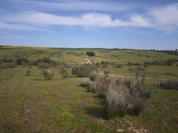Terreno en calle los Galgos, 8