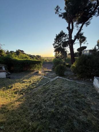 Terreno en calle Perdiz, 13