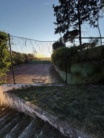 Terreno en calle Perdiz, 13