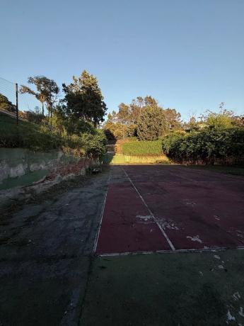 Terreno en calle Perdiz, 13