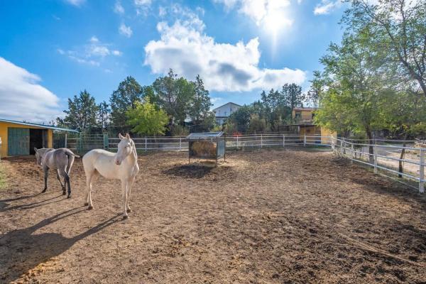 Terreno en avenida de Los Olivares