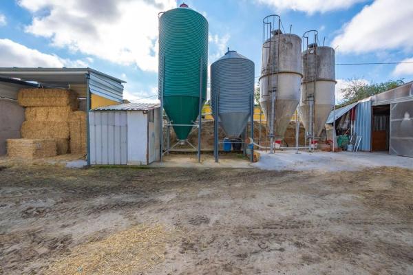 Terreno en avenida de Los Olivares