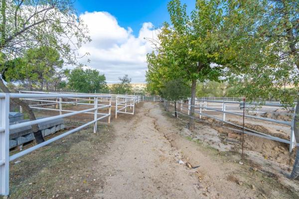 Terreno en avenida de Los Olivares