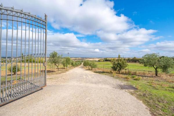 Terreno en avenida de Los Olivares