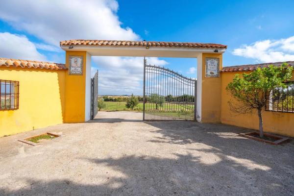 Terreno en avenida de Los Olivares