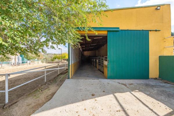 Terreno en avenida de Los Olivares