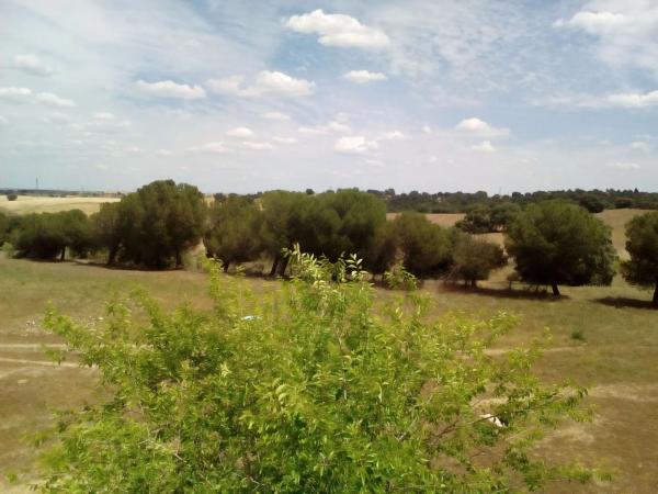 Terreno en avenida de la Cumbre s/n Sn