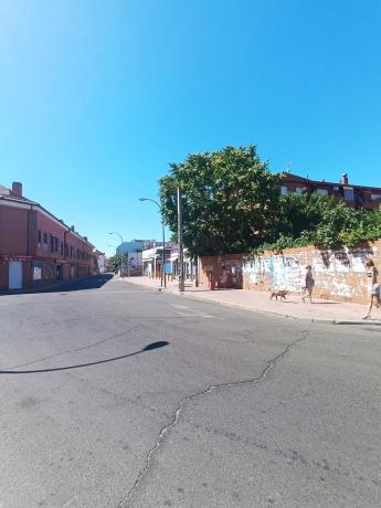 Terreno en estrellas