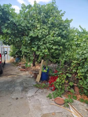 Terreno en estrellas