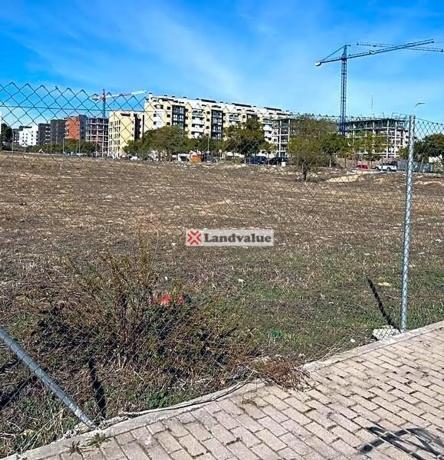 Terreno en calle del Valle, 2