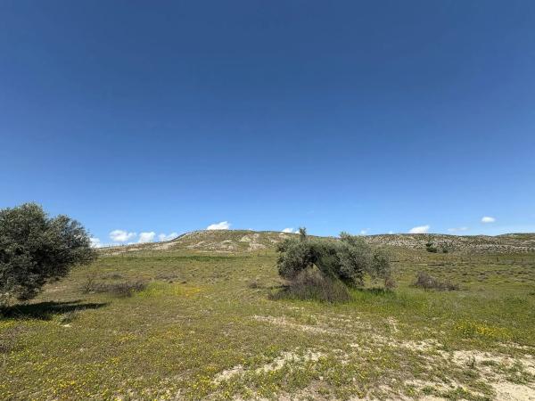 Terreno en Casco Antiguo sur