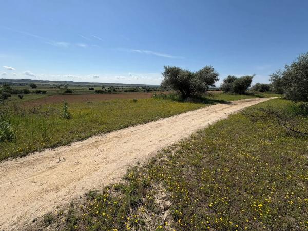 Terreno en Casco Antiguo sur