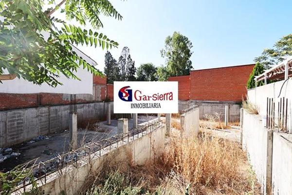 Terreno en virgen, 34