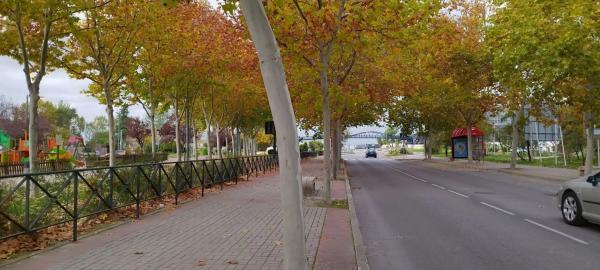 Terreno en calle Ecuador, 2