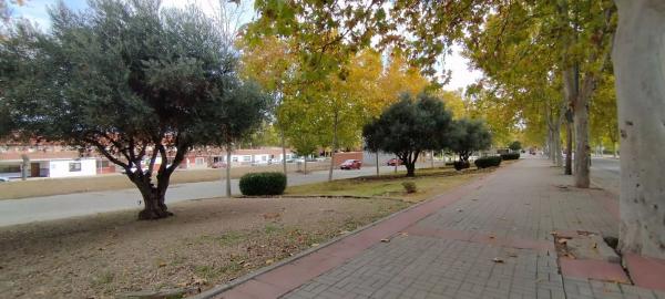 Terreno en calle Ecuador, 2
