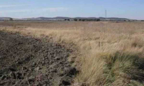 Terreno en travesía Palomero, 40
