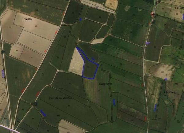 Terreno en camino de Ciempozuelos a San Martín de la Vega