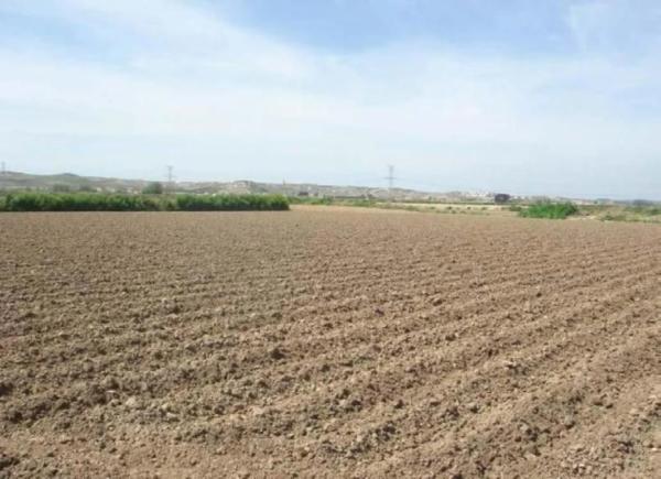 Terreno en camino de Ciempozuelos a San Martín de la Vega