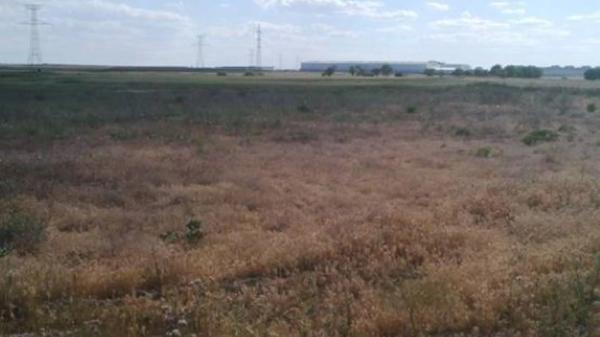 Terreno en travesía Palomero