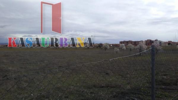 Terreno en Casco Antiguo sur