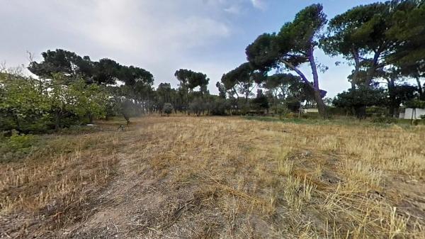 Terreno en camino de Batres
