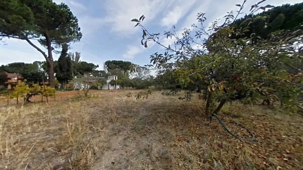 Terreno en camino de Batres