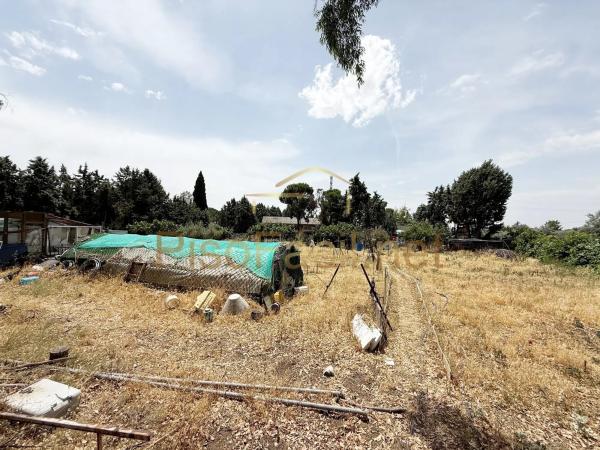 Terreno en Diseminado Camino Griñon