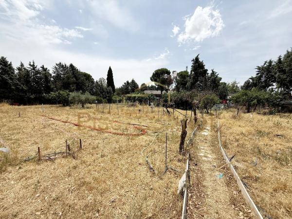 Terreno en Diseminado Camino Griñon