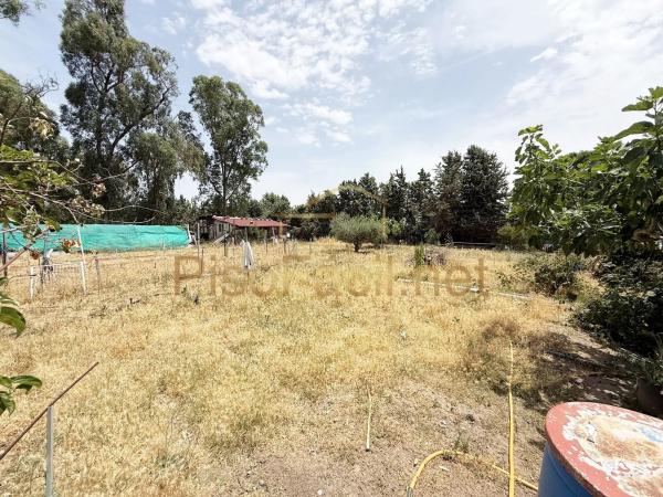 Terreno en Diseminado Camino Griñon