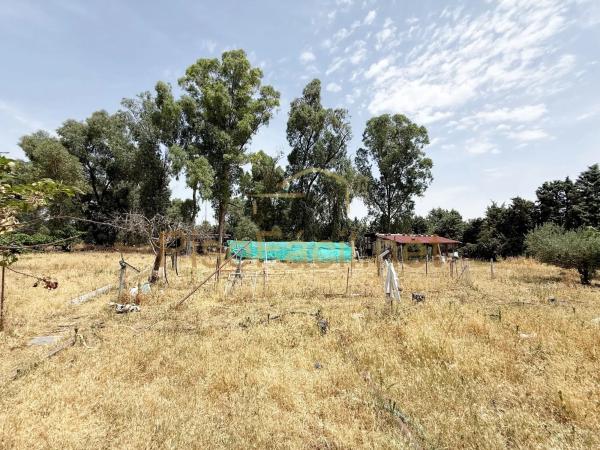 Terreno en Diseminado Camino Griñon