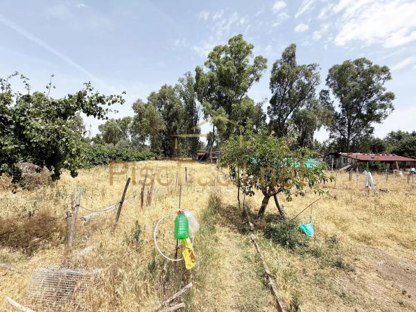Terreno en Diseminado Camino Griñon